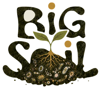 Big Soil™ — Regenerate. Restore. Root change.