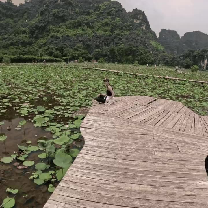 Lotus pond boardwalk