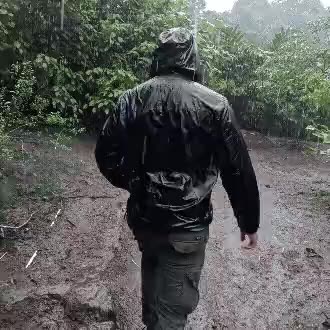 Walking through rainforest rain
