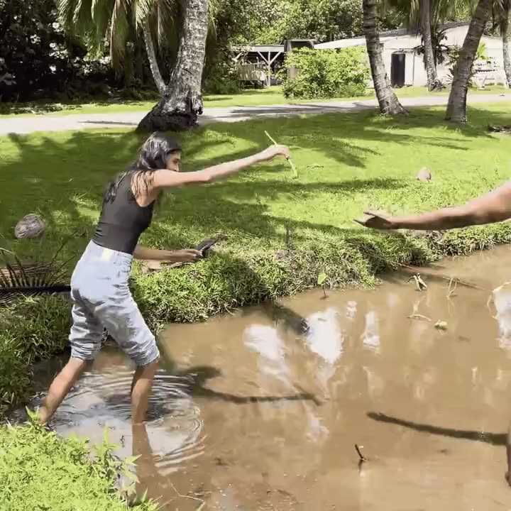 Kalo planting in the wet fields