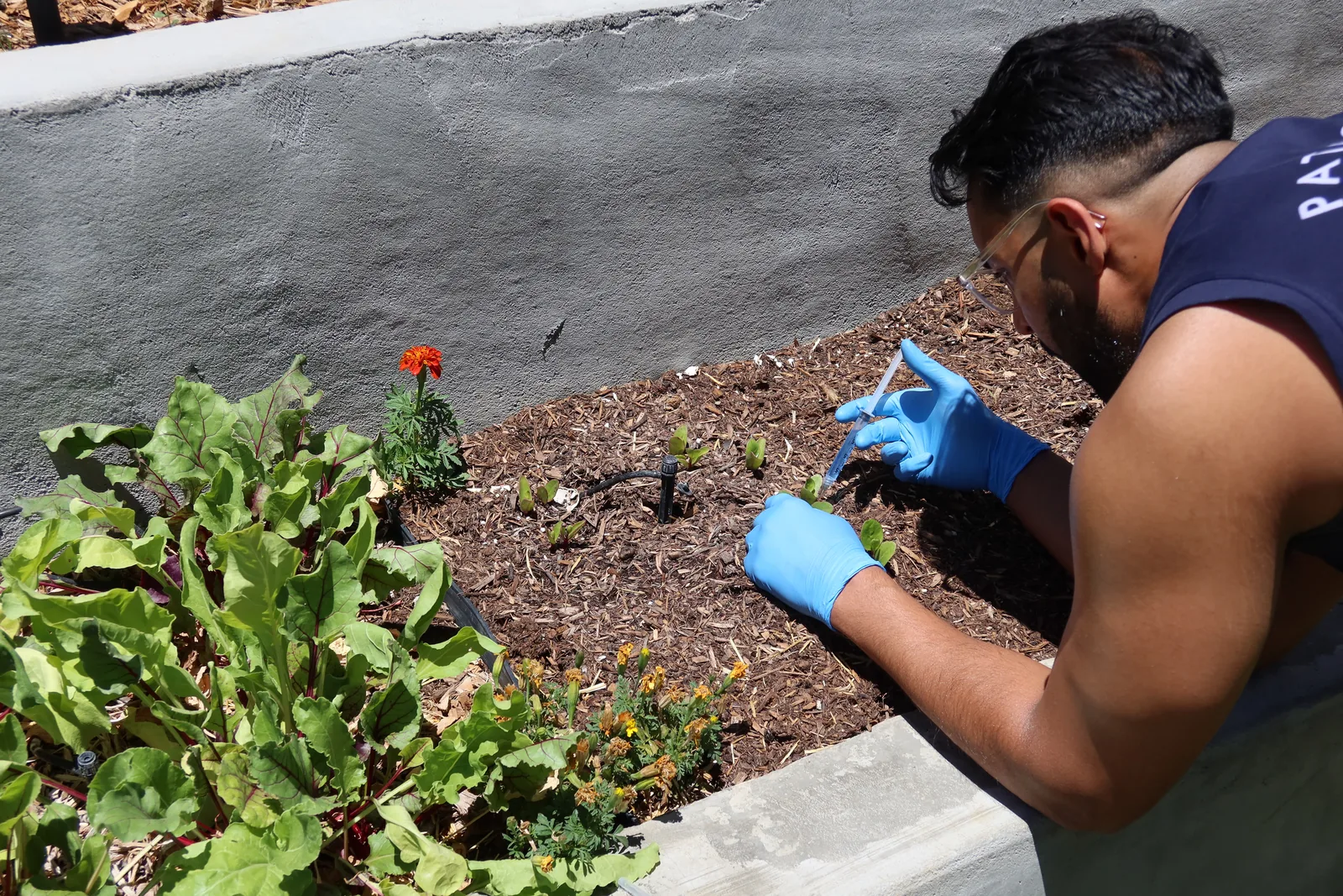 Hands-on soil science in the garden